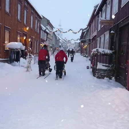 Houmbgaarden Røros